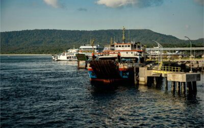 Comment un déménageur international facilite le transport maritime de vos biens ?